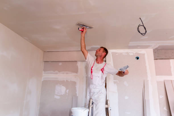 Best Drywall Finishing  in Walbridge, OH